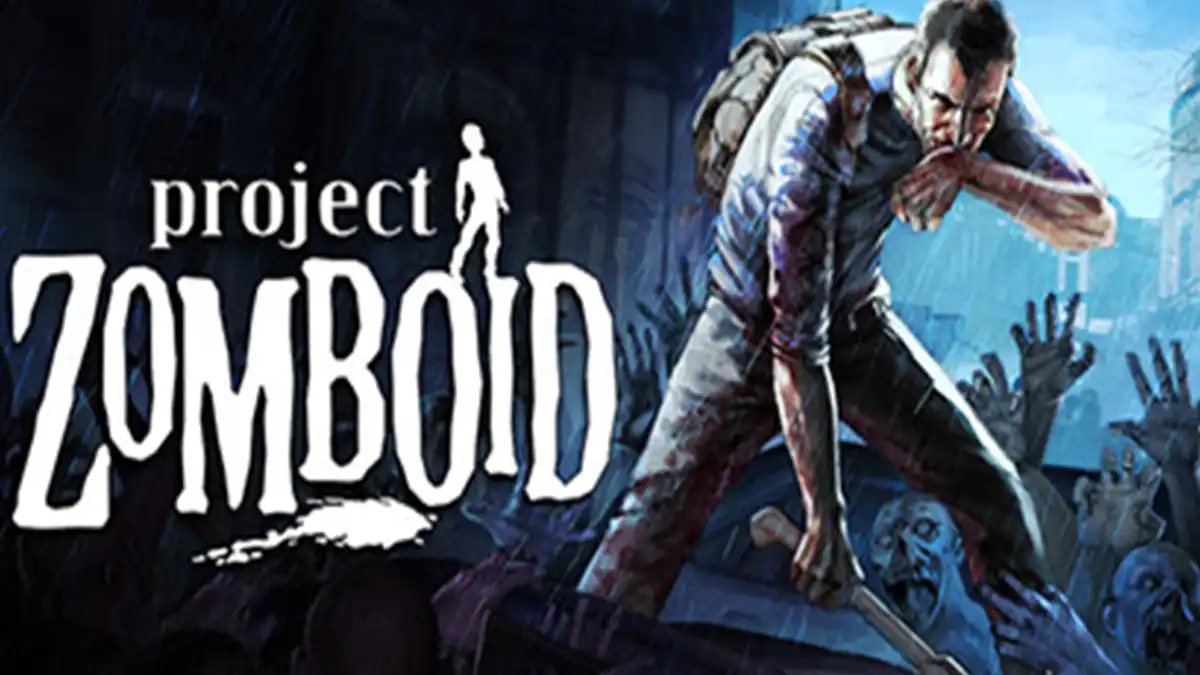 Project Zomboid multiplayer game